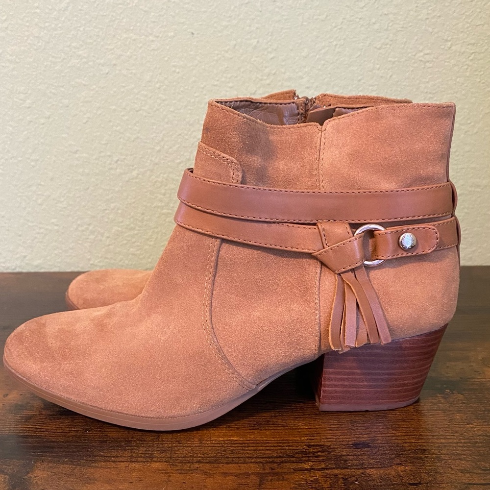 Alex Marie heeled ankle boots - Picture 3 of 6